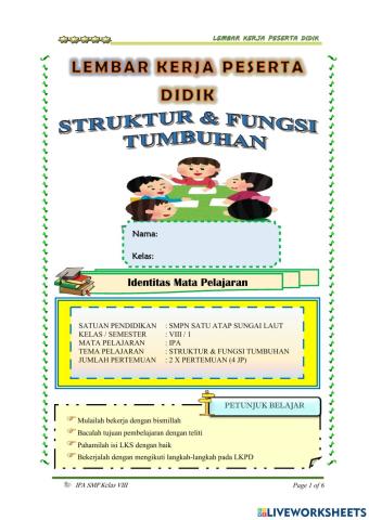Struktur dan Fungsi Tumbuhan
