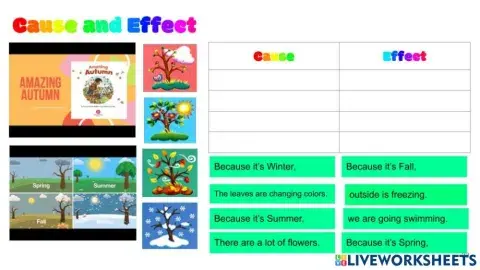 Cause and Effects - The Seasons