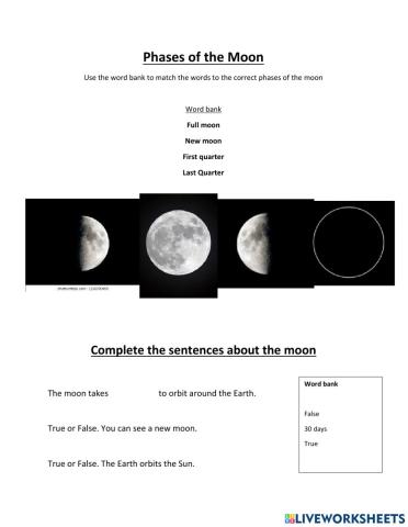 Phases of the moon (grade 1)