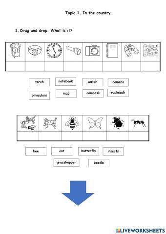 Topic 1. In the country