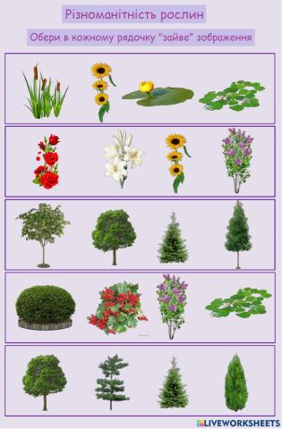 Різноманітність рослин