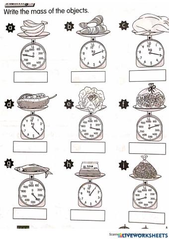 Weigh the mass of objects