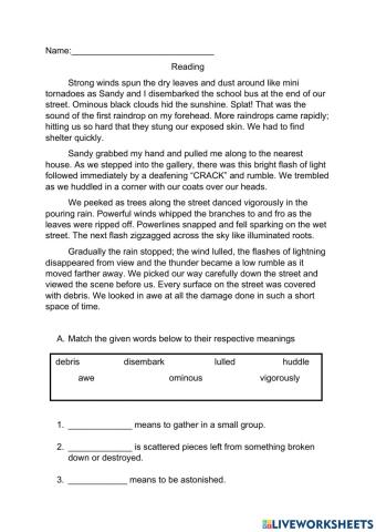 Bad Weather- Reading Comprehension