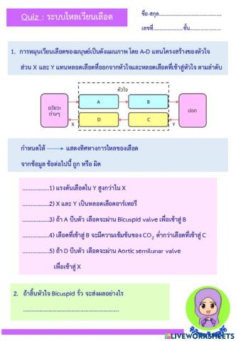 Quiz-ระบบไหลเวียนเลือด1