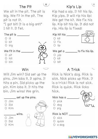 Reading Comprehension 13 worksheet