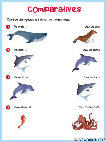 Comparing Sea Animals
