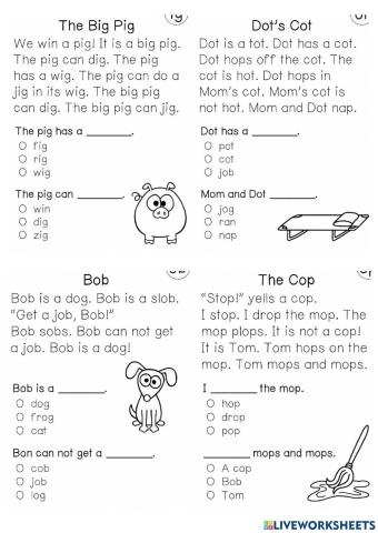 Reading Comprehension 14 worksheet