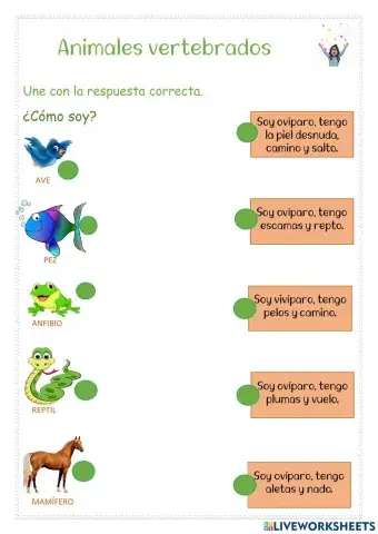 Animales Vertebrados