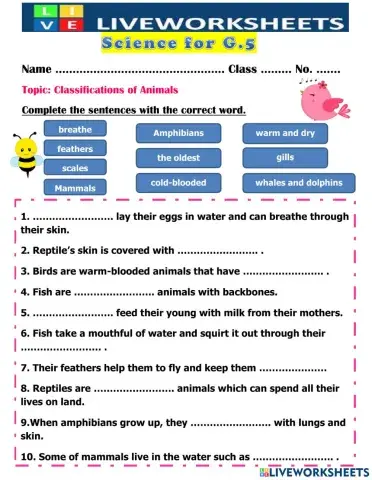 Classification of Animals