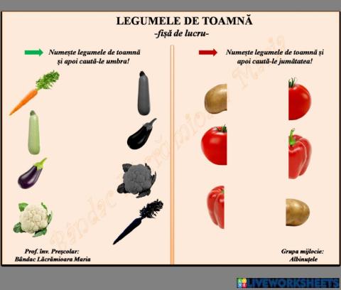 Umbra și jumătatea legumelor de toamnă