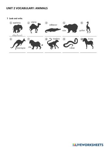 Unit 2 vocabulary: animals