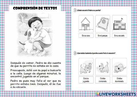 Comprensión de textos
