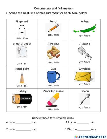Units of Measurement (cm and mm)