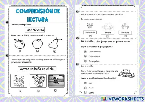 Comprensión de textos