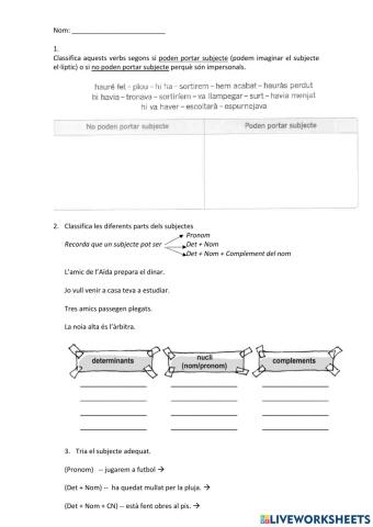 Subjecte i sintagma nominal