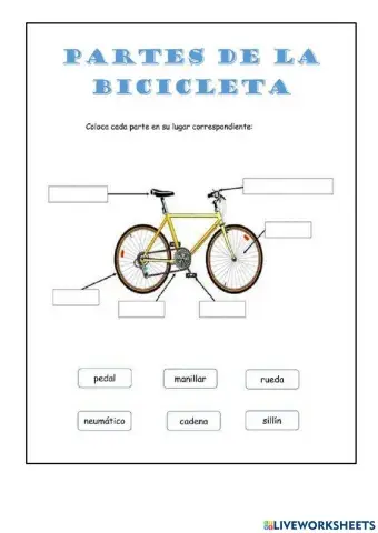 Partes de la bicicleta