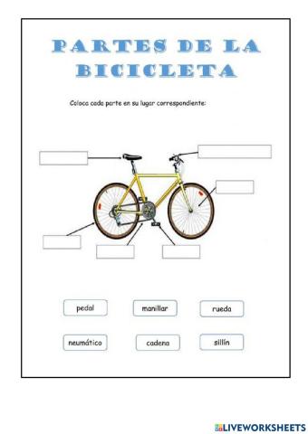 Partes de la bicicleta