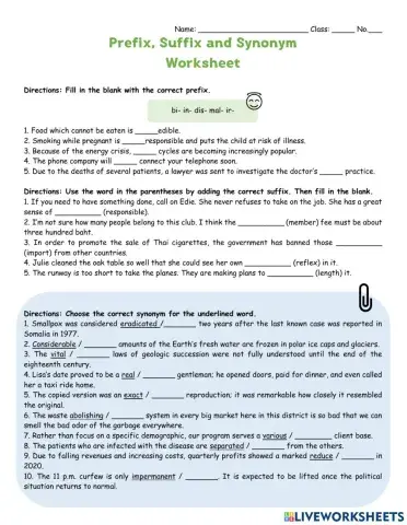 Prefix, Suffix, Synonym