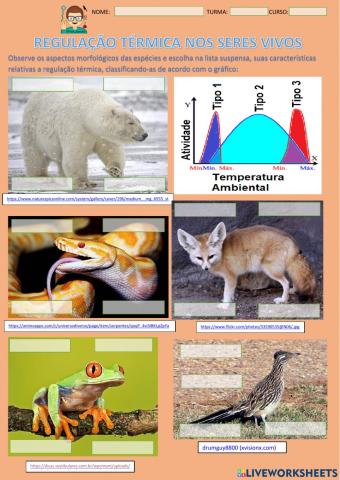 Regulação térmica nos seres vivos