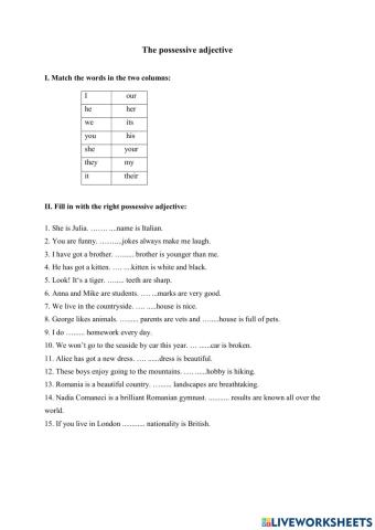 The possessive adjective