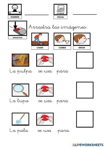 Vocabulario L y P descripción para NIÑ-S TEA