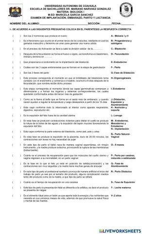 Implantacion, embarazo y lactancia