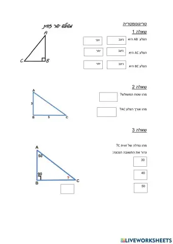 טריגונומטריה