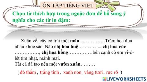 On tap tieng viet