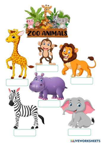 Zoo Animals