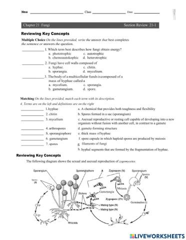 FUNGI REPRODUCTION RECOVERT GRADE