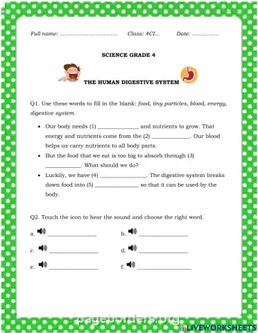Week 14. Digestive system 2