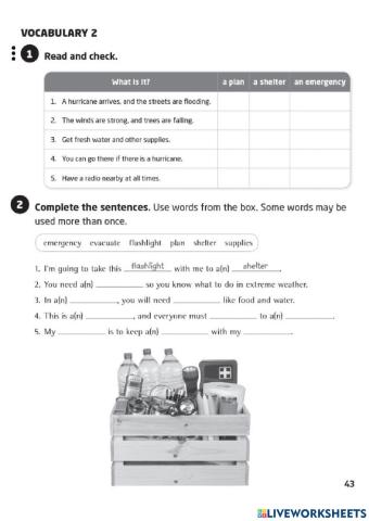 Vocabulary 2 : Nov 18th