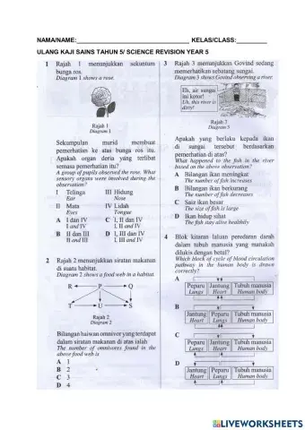 Revision science year 5 (4)