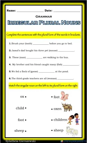 Irregular Plural Nouns