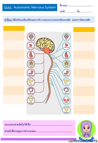 Quiz-ระบบประสาทอัตโนวัติ
