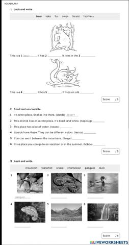 2nd grade Vocabulary Unit 3