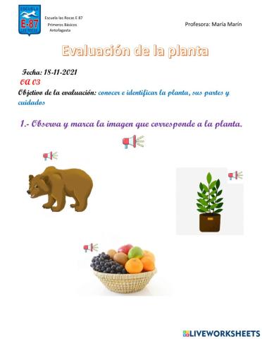 Evaluación de la planta