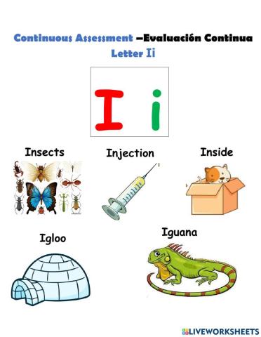 Letter Jj-Assessment