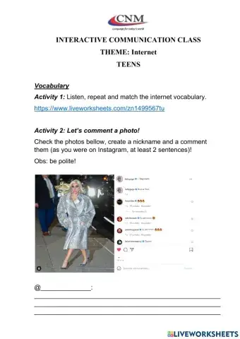 Communicative Activity - Internet - Teens