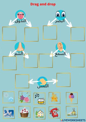 الحواس الخمس