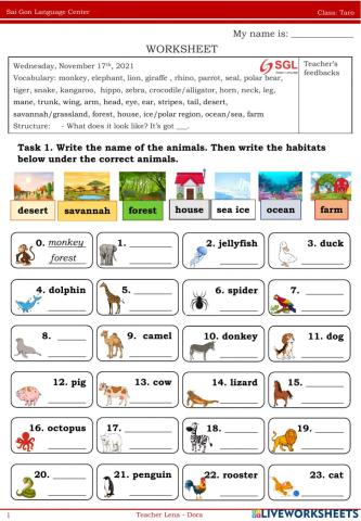 Taro. T4. 17-11-2021