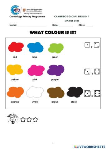 CGE1-Starter unit-Colours-p.12-13