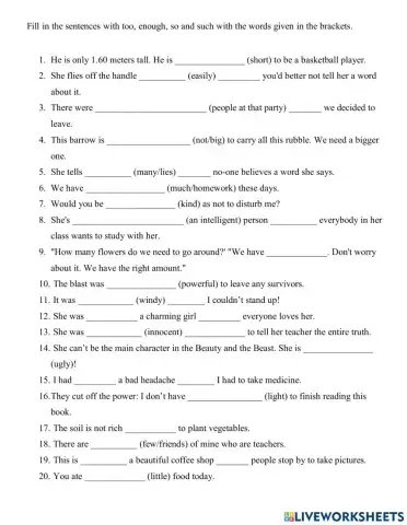 Too Enough So Such 1