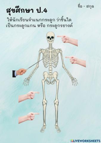 สุขศึกษา