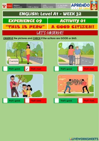Week 32 - ENGLISH A1 - Experience 9 - Activity 1. A good citizen!
