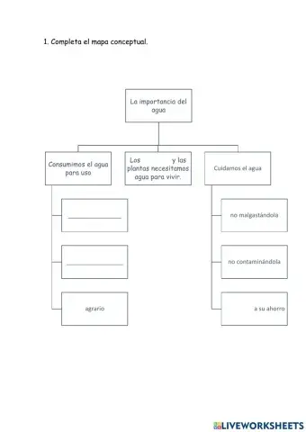 La importancia del agua