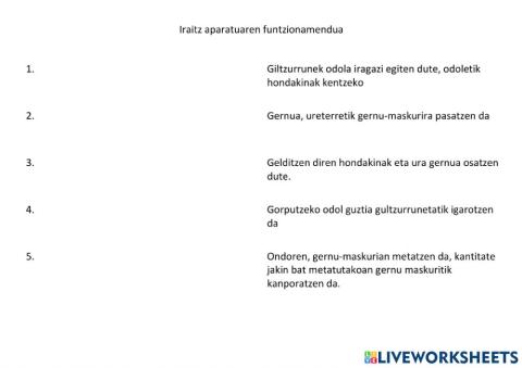 Iraitz aparatuaren funtzionamendua