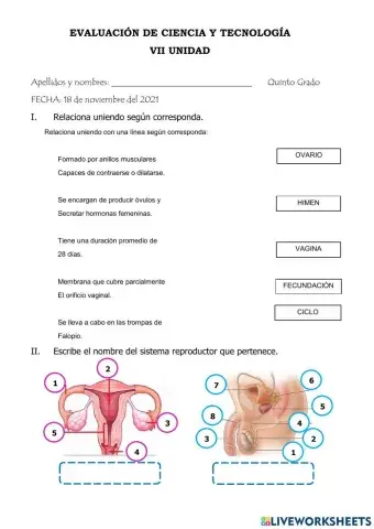 Evaluación de CIENCIA