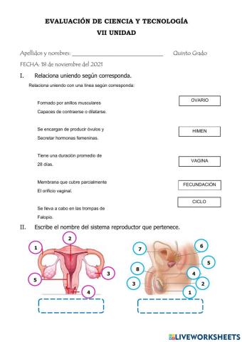 Evaluación de CIENCIA