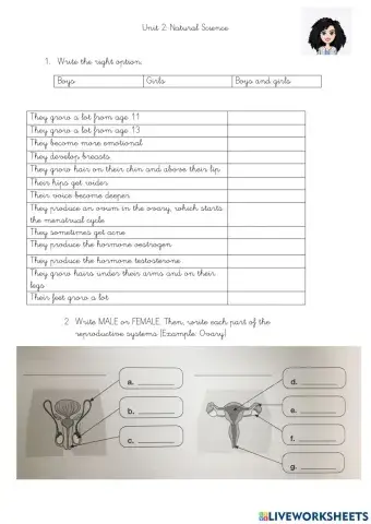 Puberty and reproductive systems